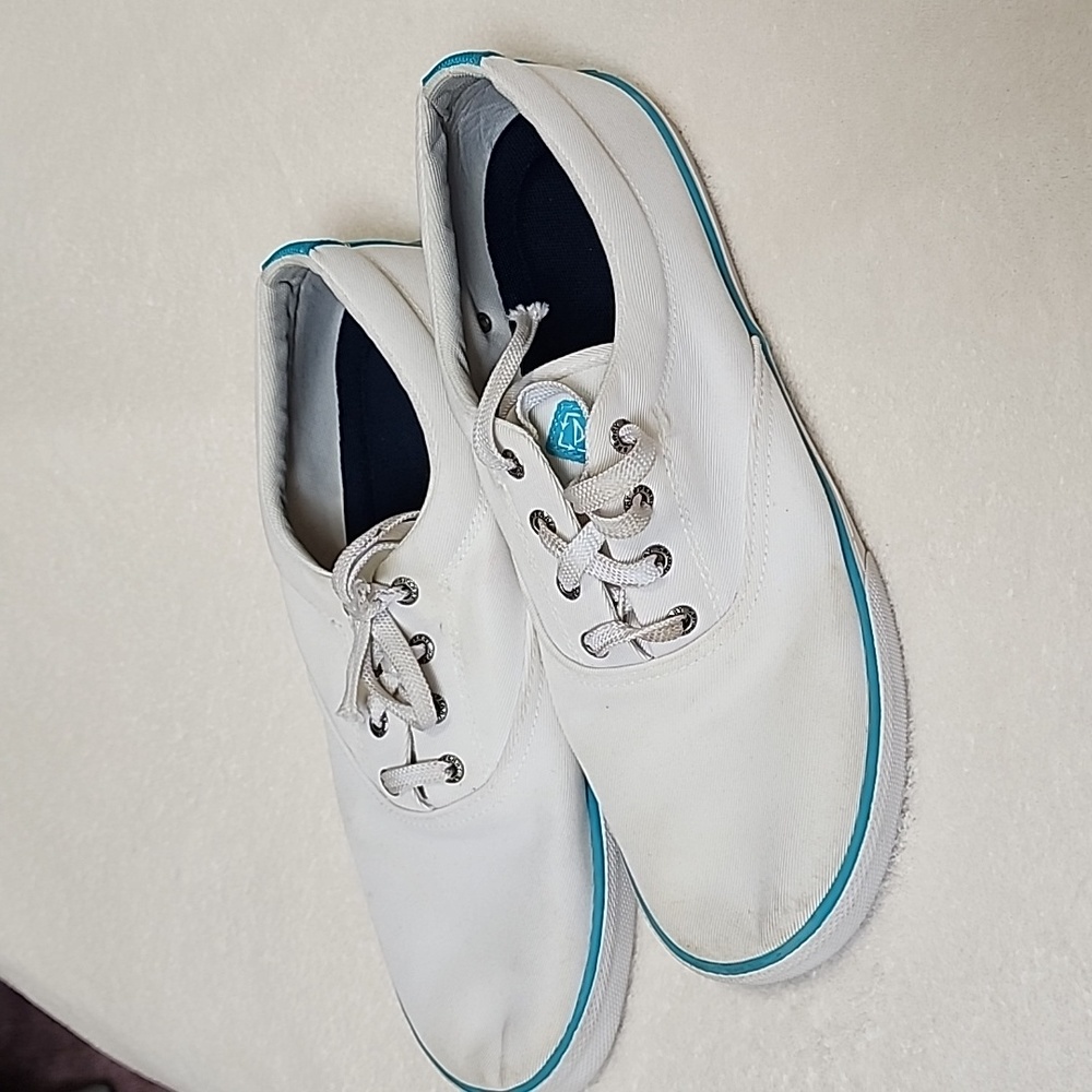 Mens Sperrys Boat Shoes